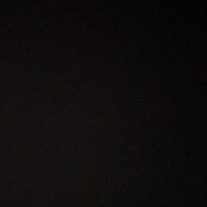 Meet your Posher, Lynn